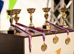 Летнее корпоративное мероприятие компании Валта